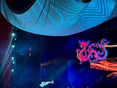 -水秀国际大剧院