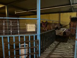 -小蜜蜂农场(凯德七宝购物广场店)