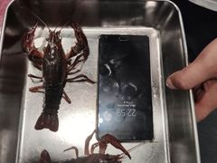 秘制香辣小龙虾-笔墨纸虾之烧烤海鲜虾尾(好爱广场店)