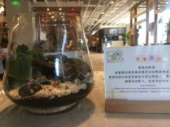 门面-1973继光香香鸡(金桥国际店)