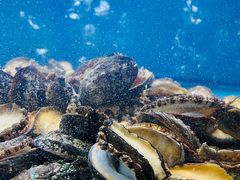 -龙兴食府(锦绣家园店)