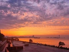 -上海滨江森林公园