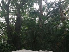 -龙达温泉生态城