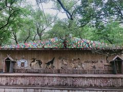 -大青沟风景区