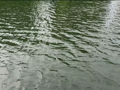 -雪枫公园