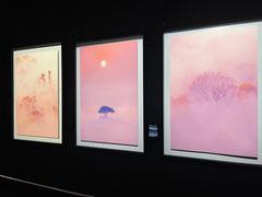 -罗红摄影艺术馆