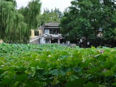 -莲湖公园