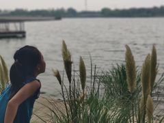 -嘉定凯悦·咖啡厅