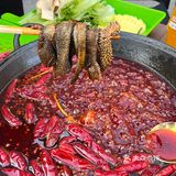 不愧是贵阳！路边火锅店，太chill了，好便