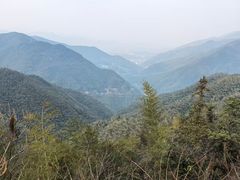 -四明山国家森林公园