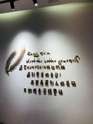 -KS科逆美肤祛痘