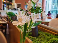 -花园5號餐厅