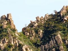 -大岭沟猕猴桃谷风景区