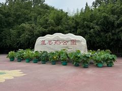 -莲花池公园