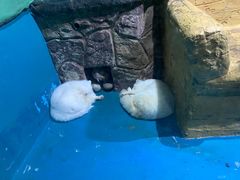 -大连圣亚海洋世界
