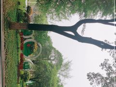 -昆山城市生态森林公园