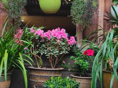 -龙姐私房菜(和顺古镇店)