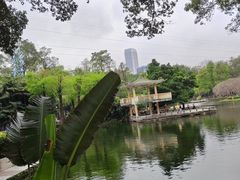 -晓港公园