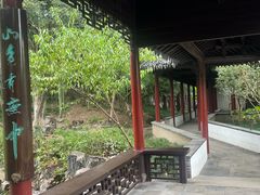-水绘园