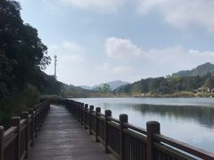 -海南热带雨林国家公园吊罗山景区