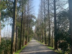 -上海长兴岛郊野公园