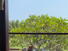 -亚龙湾红树林度假酒店-韩轩韩餐厅