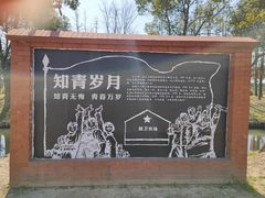 -上海长兴岛郊野公园