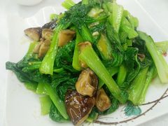 香菇油菜-北戴河庆山饭店·海鲜砂锅粥(北戴河黑石路店)