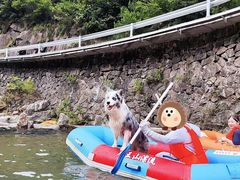 -安吉龙王山峡谷漂流
