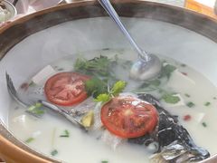 -全乐鱼馆·淳牌有机鱼直营店