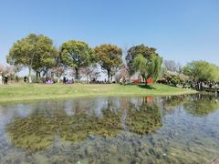 -尚湖风景区