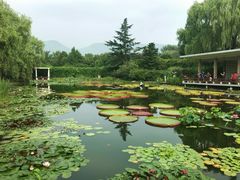 -国家植物园南园