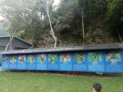 -广西龙虎山风景区