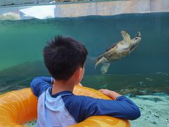 -新加坡水上探险乐园
