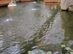 -汤山翠谷生态餐厅