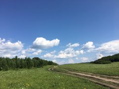 -塞罕坝国家级自然保护区