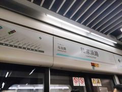 -陆家浜路(地铁站)