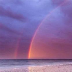 -薇兰专业脱毛连锁机构