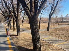 -野鸭湖国家湿地公园