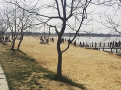 -艾溪湖湿地公园