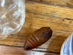 -威海海鲜王(窑头路店)