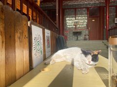 -蟠龙山长城景区