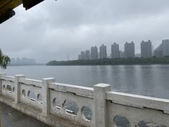 -长白岛森林公园