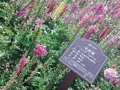 iphone_upload_pic-保利石象湖景区