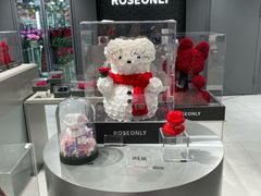 -ROSEONLY诺誓(国际广场购物中心店)