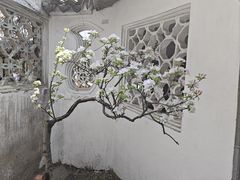 -拙政园