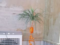 -谭三娘鲜切牛肉自助火锅(九眼桥总店)
