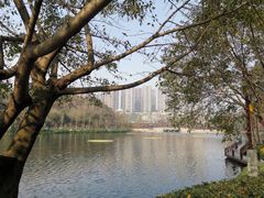 -重庆彩云湖湿地公园