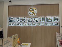 -瑞派·关忠动物医院·猫专科·犬专科(三环新城店)