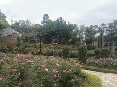 -僰都烤鱼干锅(西石油店)